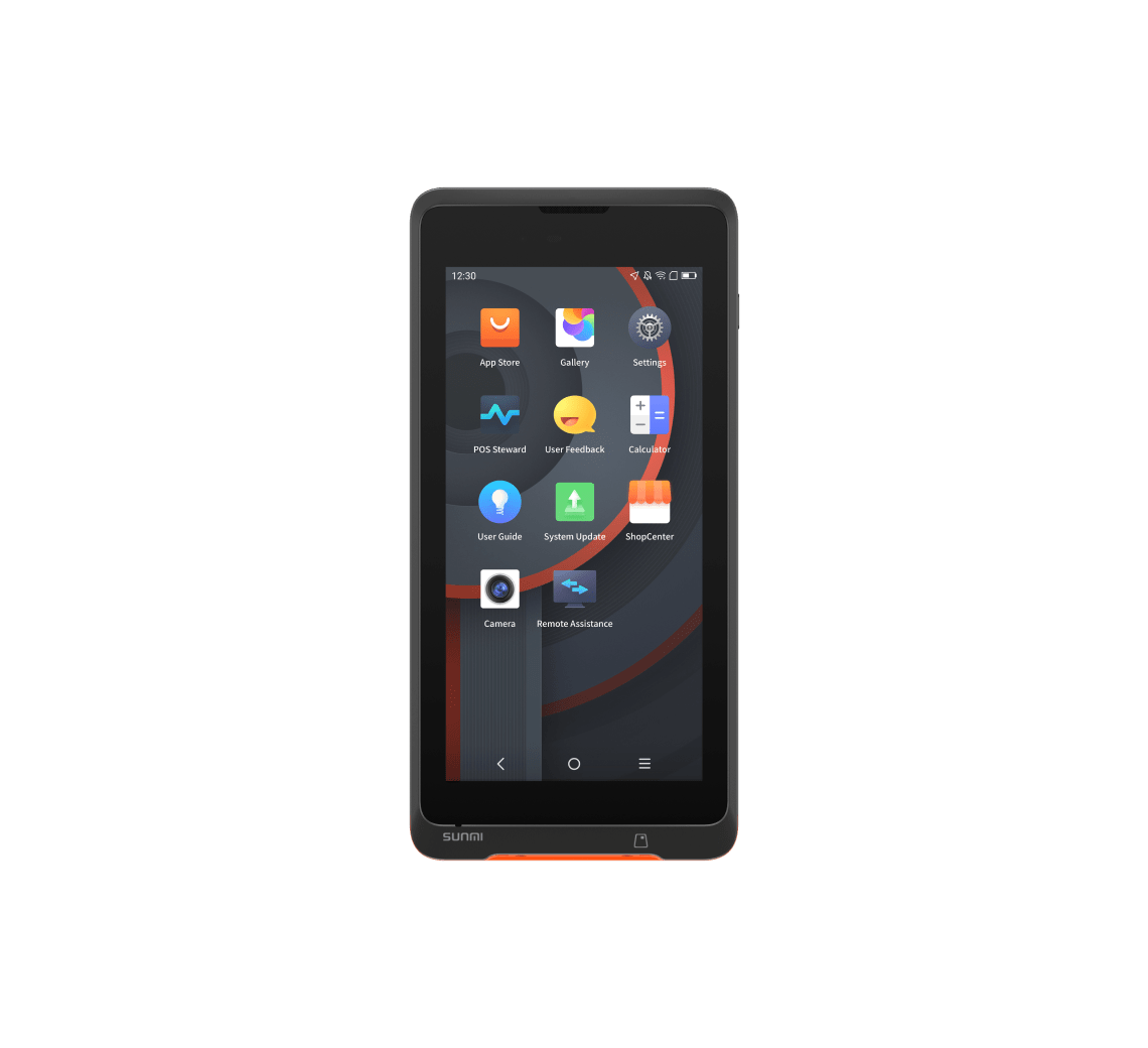 P2 LITE SE
